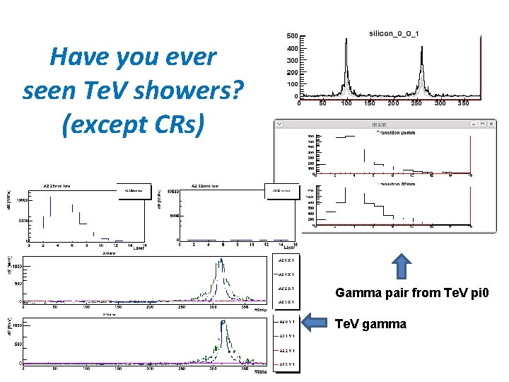 Have you ever seen Te. V showers? (except CRs) Gamma pair from Te. V