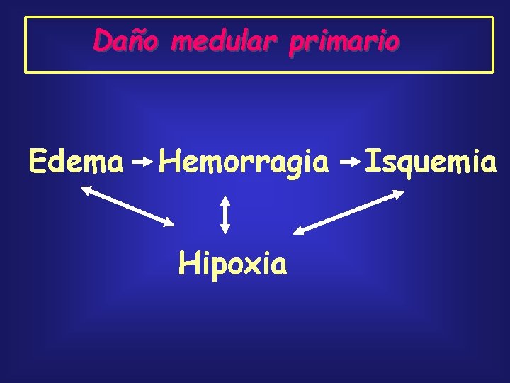 Daño medular primario Edema Hemorragia Hipoxia Isquemia 