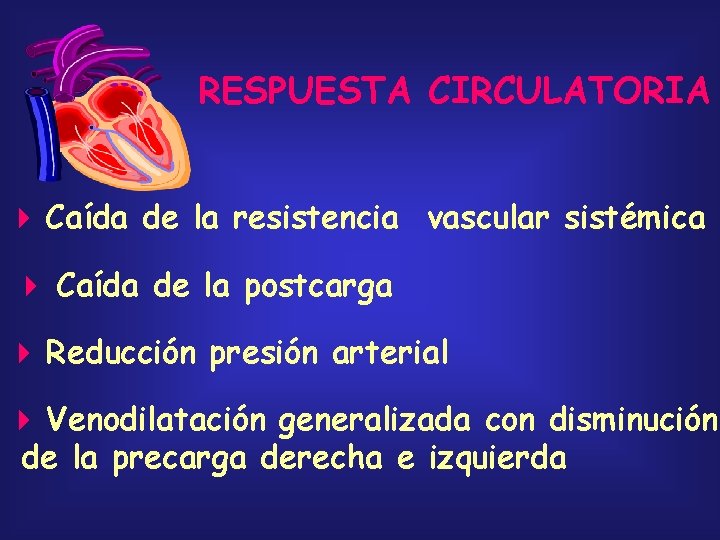 RESPUESTA CIRCULATORIA Caída de la resistencia vascular sistémica Caída de la postcarga Reducción presión