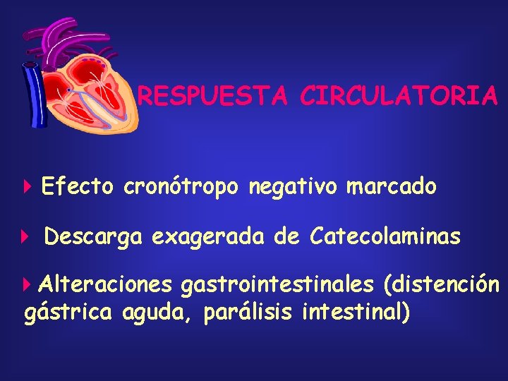 RESPUESTA CIRCULATORIA Efecto cronótropo negativo marcado Descarga exagerada de Catecolaminas Alteraciones gastrointestinales (distención gástrica