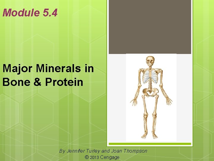 Module 5. 4 Major Minerals in Bone & Protein By Jennifer Turley and Joan