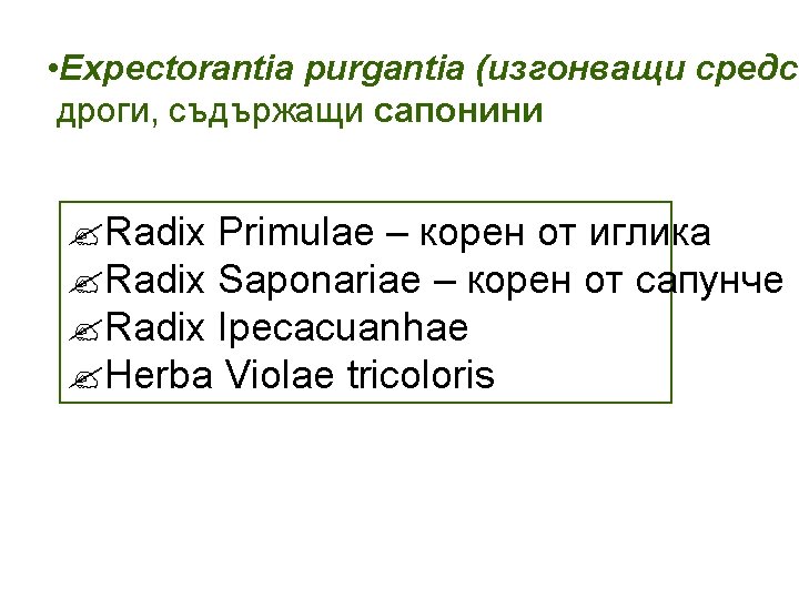  • Expectorantia purgantia (изгонващи средст дроги, съдържащи сапонини ? Radix Primulae – корен