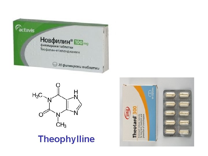 Theophylline 