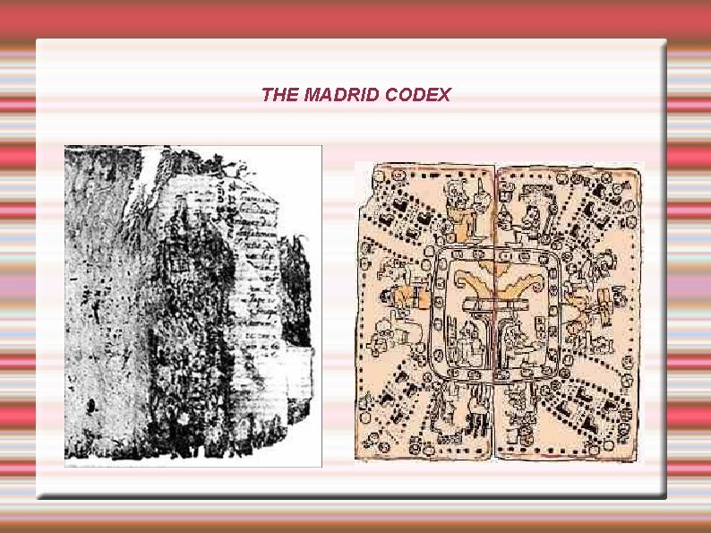 THE MADRID CODEX 