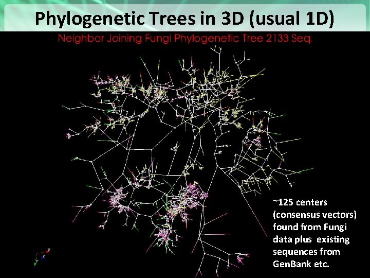 Phylogenetic Trees in 3 D (usual 1 D) https: //portal. futuregrid. org ~125 centers