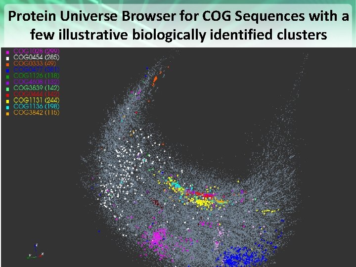 Protein Universe Browser for COG Sequences with a few illustrative biologically identified clusters https:
