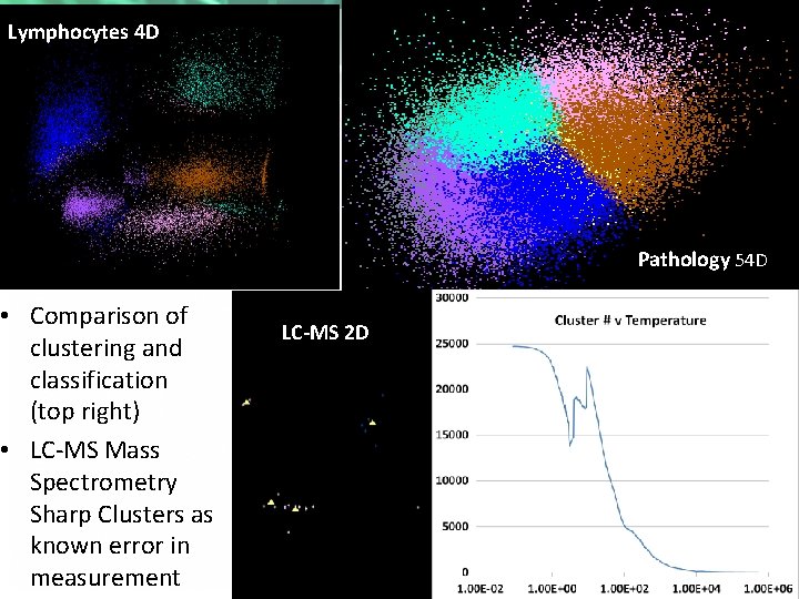 Lymphocytes 4 D • Comparison of clustering and classification (top right) • LC-MS Mass