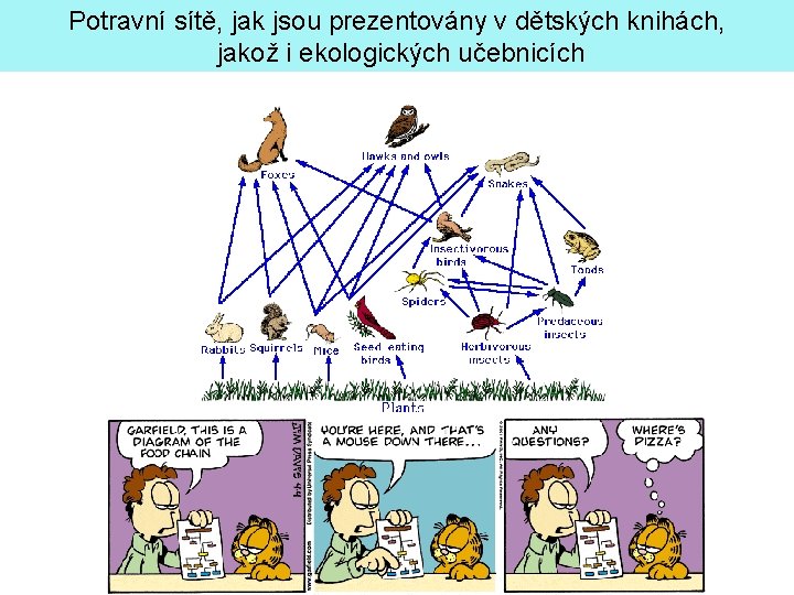 Potravní sítě, jak jsou prezentovány v dětských knihách, jakož i ekologických učebnicích 