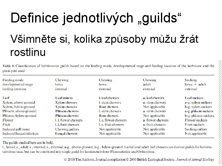 Definice jednotlivých „guilds“ Všimněte si, kolika způsoby můžu žrát rostlinu 