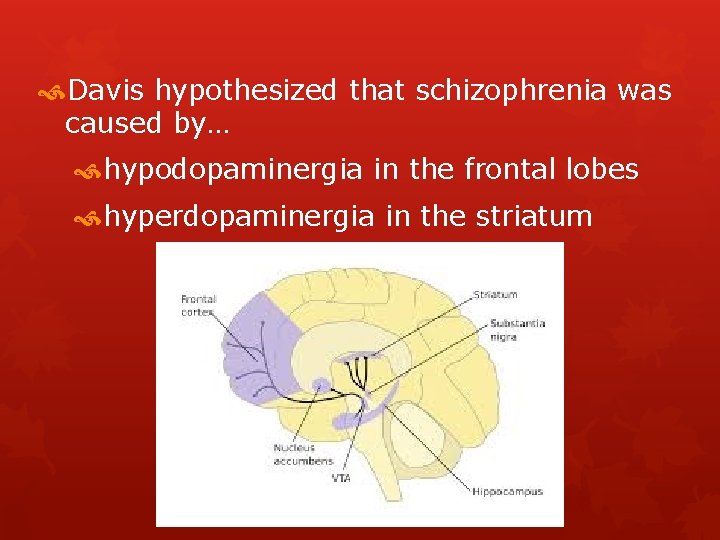 Davis hypothesized that schizophrenia was caused by… hypodopaminergia in the frontal lobes hyperdopaminergia Davis hypothesized that schizophrenia was caused by… hypodopaminergia in the frontal lobes hyperdopaminergia