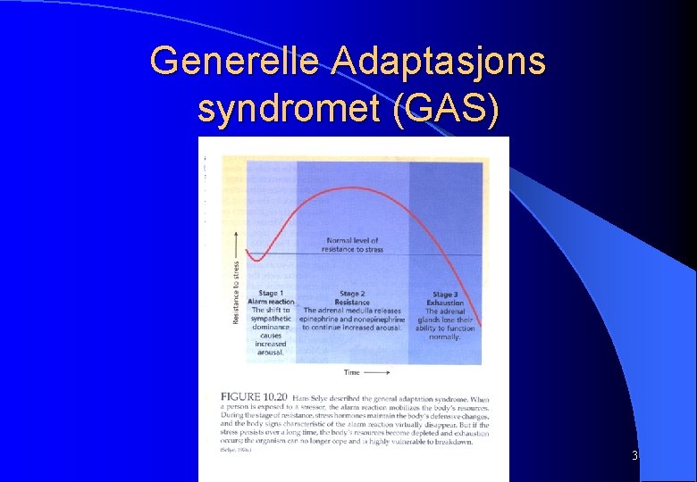 Generelle Adaptasjons syndromet (GAS) 3 