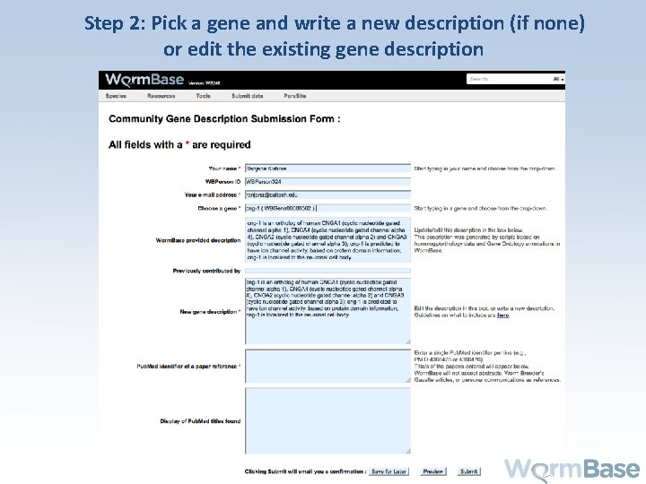 Step 2: Pick a gene and write a new description (if none) or edit