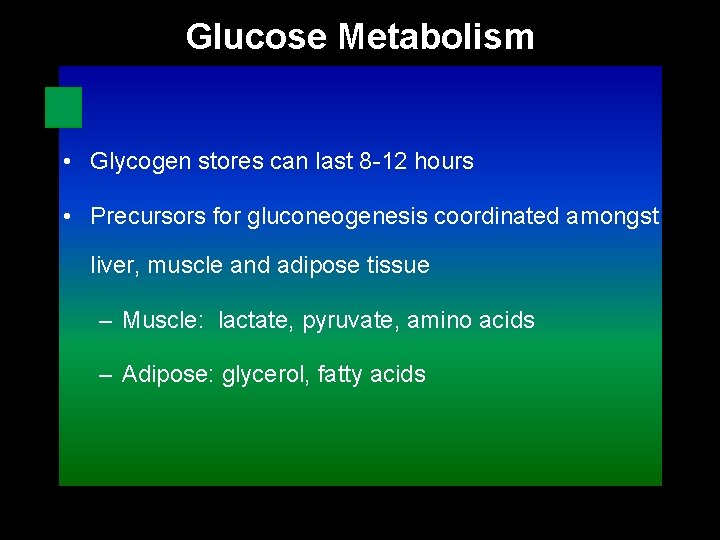 Glucose Metabolism • Glycogen stores can last 8 -12 hours • Precursors for gluconeogenesis