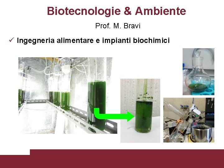 Biotecnologie & Ambiente Prof. M. Bravi Ingegneria alimentare e impianti biochimici Laboratori DICMA Pagina