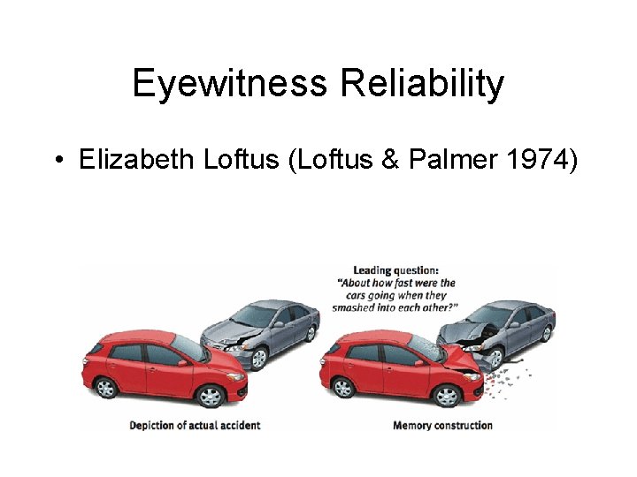 Eyewitness Reliability • Elizabeth Loftus (Loftus & Palmer 1974) 