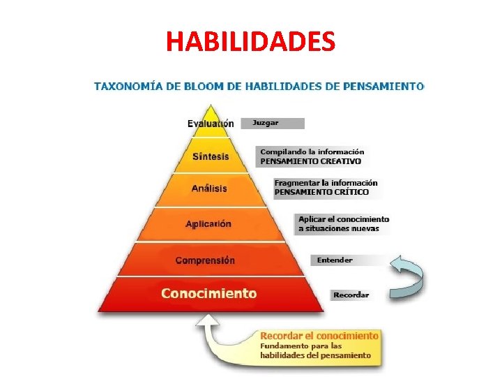 HABILIDADES 