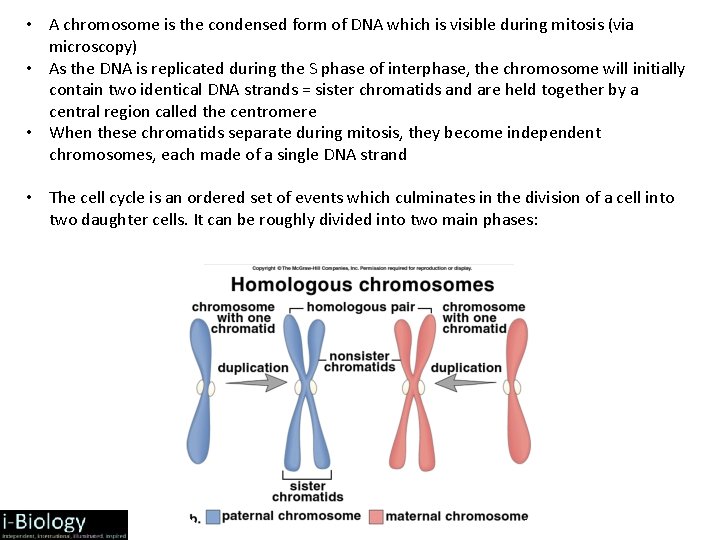  • A chromosome is the condensed form of DNA which is visible during