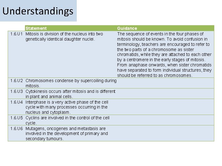 Understandings Statement 1. 6. U 1 Mitosis is division of the nucleus into two