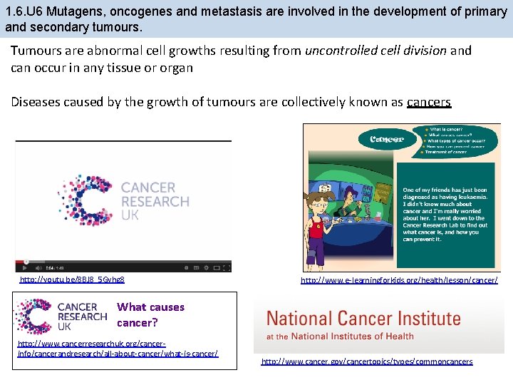 1. 6. U 6 Mutagens, oncogenes and metastasis are involved in the development of
