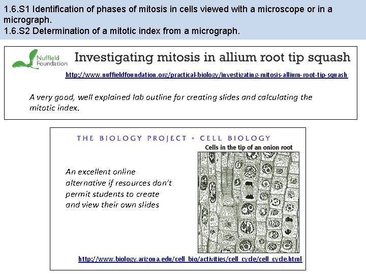 1. 6. S 1 Identification of phases of mitosis in cells viewed with a