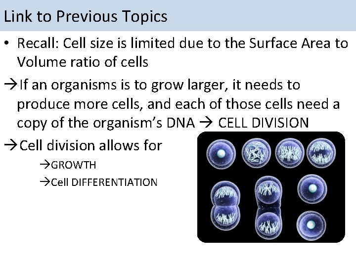 Link to Previous Topics • Recall: Cell size is limited due to the Surface