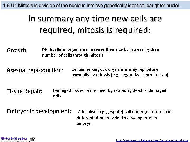 In summary any time new cells are required, mitosis is required: Growth: Multicellular organisms