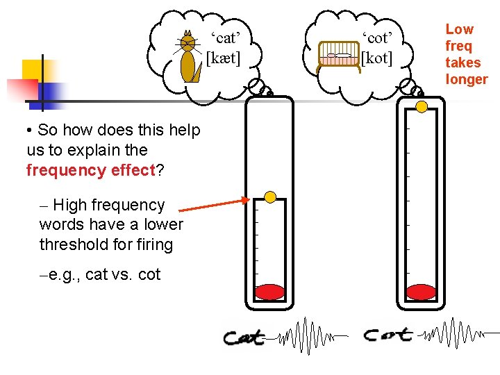 ‘cat’ [kæt] • So how does this help us to explain the frequency effect?