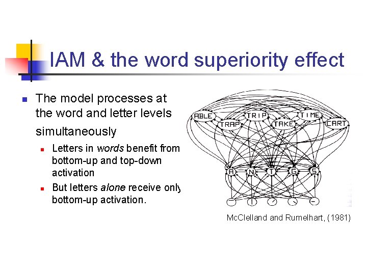 IAM & the word superiority effect n The model processes at the word and