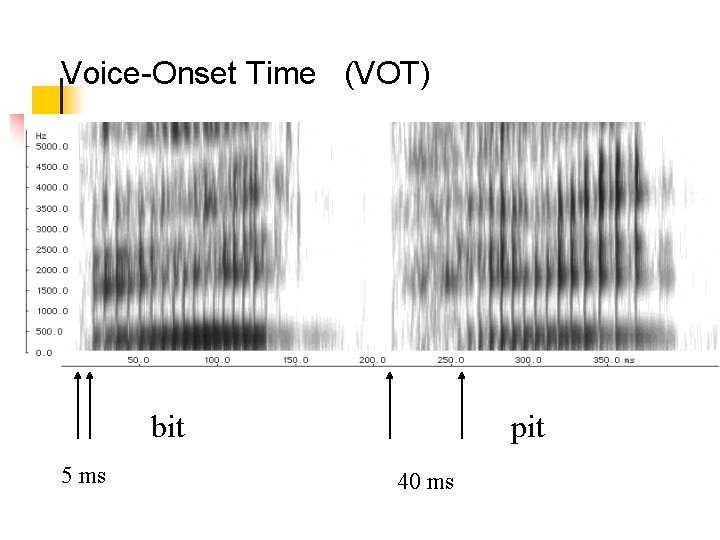 Voice-Onset Time (VOT) bit 5 ms pit 40 ms 