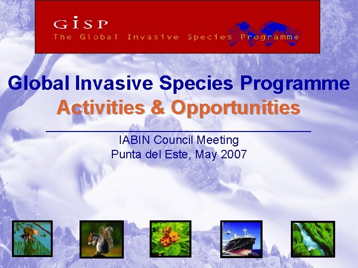 Global Invasive Species Programme Activities & Opportunities ____________________ IABIN Council Meeting Punta del Este,