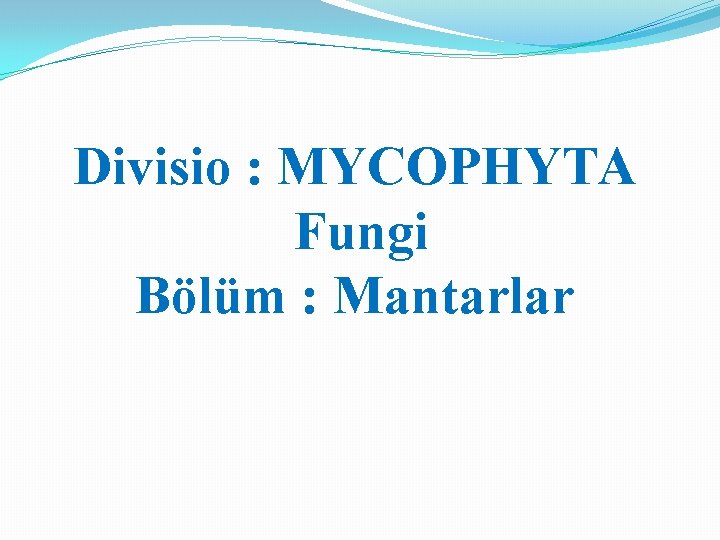 Divisio : MYCOPHYTA Fungi Bölüm : Mantarlar 