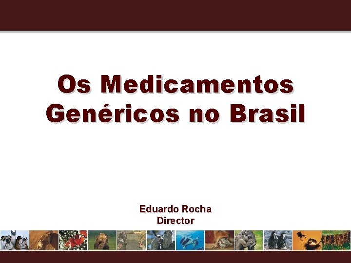 Os Medicamentos Genéricos no Brasil Eduardo Rocha Director 