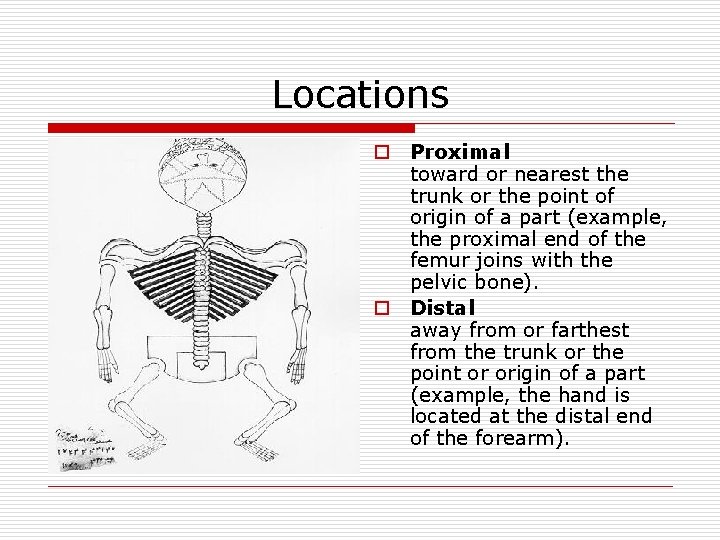 Locations o Proximal toward or nearest the trunk or the point of origin of