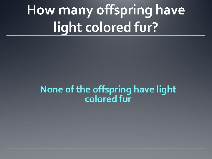 How many offspring have light colored fur? None of the offspring have light colored