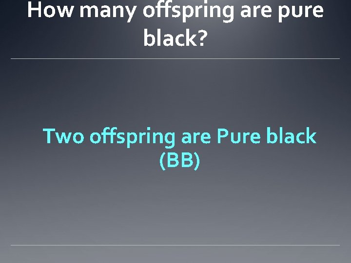 How many offspring are pure black? Two offspring are Pure black (BB) 