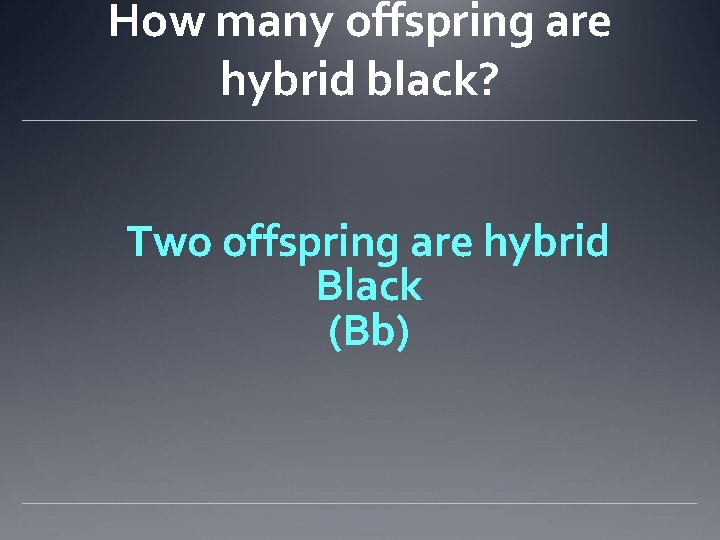 How many offspring are hybrid black? Two offspring are hybrid Black (Bb) 