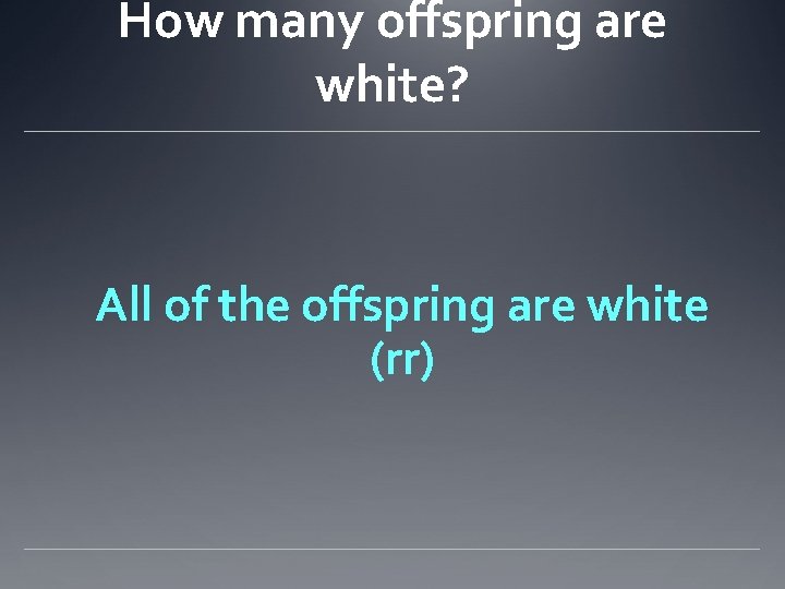 How many offspring are white? All of the offspring are white (rr) 
