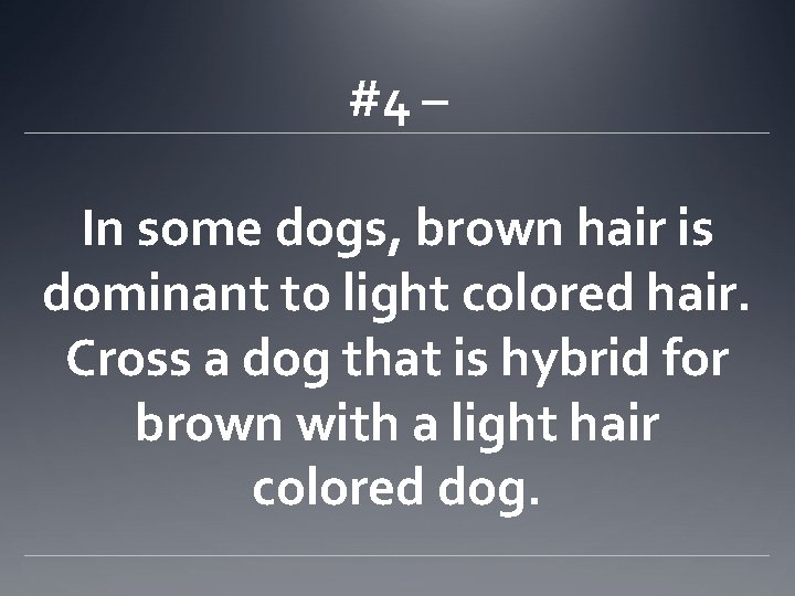 #4 – In some dogs, brown hair is dominant to light colored hair. Cross
