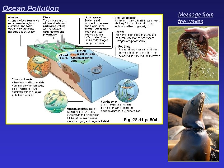 Ocean Pollution Message from the waves Fig. 22 -11 p. 504 