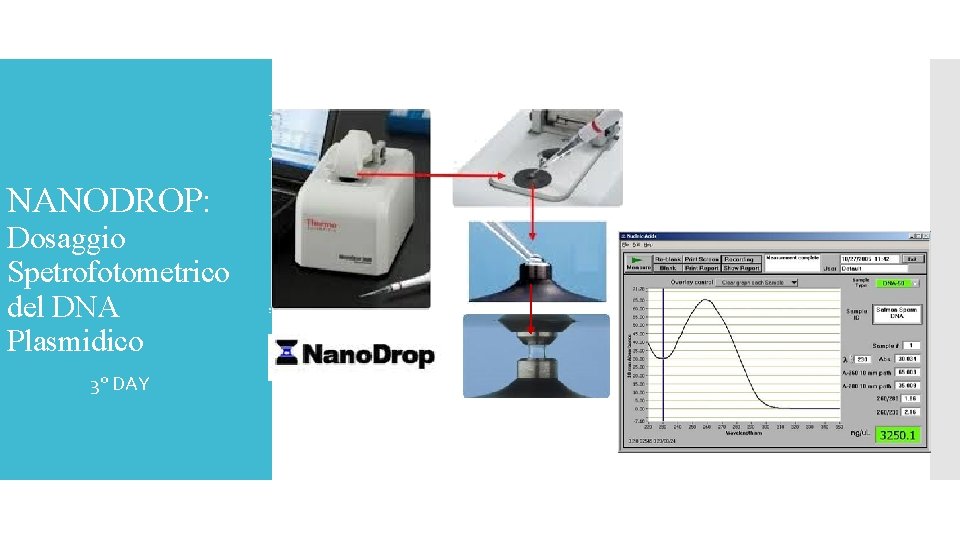 NANODROP: Dosaggio Spetrofotometrico del DNA Plasmidico 3° DAY 