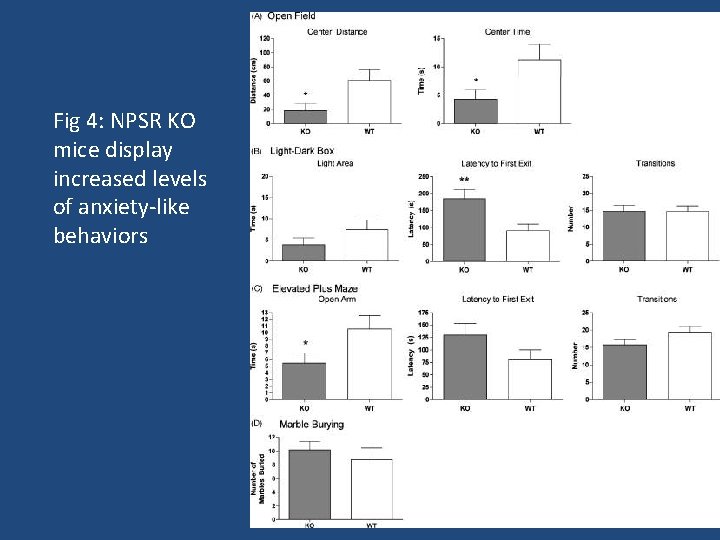 Fig 4: NPSR KO mice display increased levels of anxiety-like behaviors 
