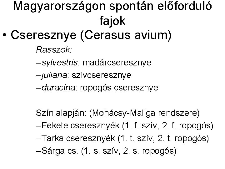 Magyarországon spontán előforduló fajok • Cseresznye (Cerasus avium) Rasszok: – sylvestris: madárcseresznye – juliana: