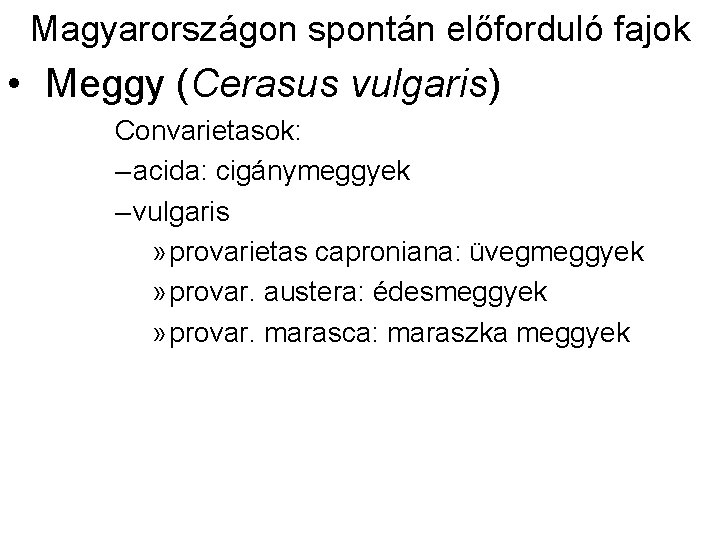 Magyarországon spontán előforduló fajok • Meggy (Cerasus vulgaris) Convarietasok: – acida: cigánymeggyek – vulgaris