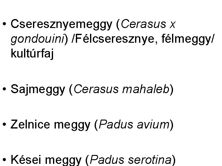  • Cseresznyemeggy (Cerasus x gondouini) /Félcseresznye, félmeggy/ kultúrfaj • Sajmeggy (Cerasus mahaleb) •