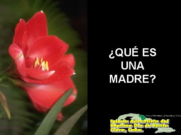 ¿QUÉ ES UNA MADRE? 