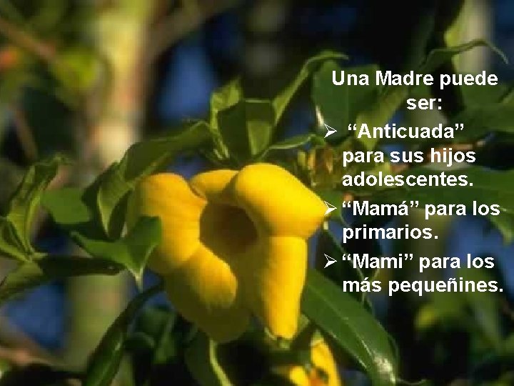 Una Madre puede ser: Ø “Anticuada” para sus hijos adolescentes. Ø “Mamá” para los