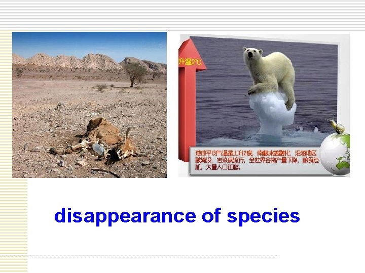 disappearance of species 