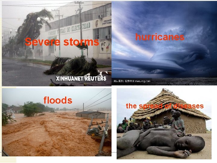 Severe storms floods hurricanes the spread of diseases 