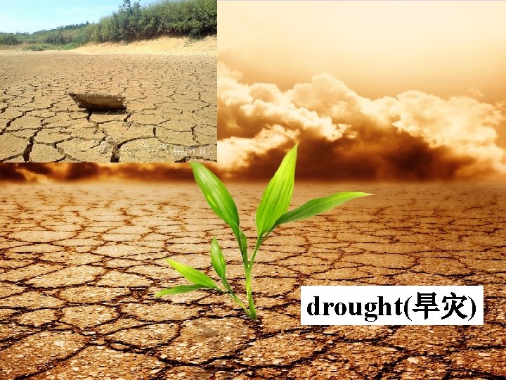 drought(旱灾) 