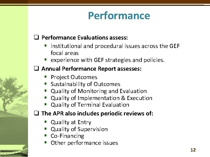 Performance q Performance Evaluations assess: § institutional and procedural issues across the GEF focal